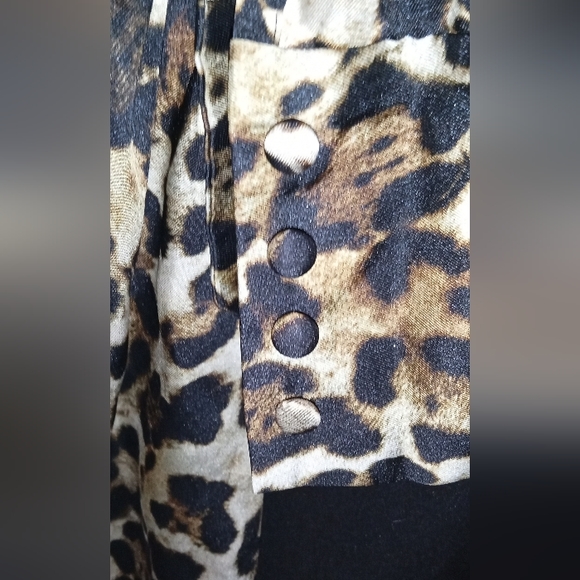 Alexis Leopard Print Dress - Picture 11 of 12